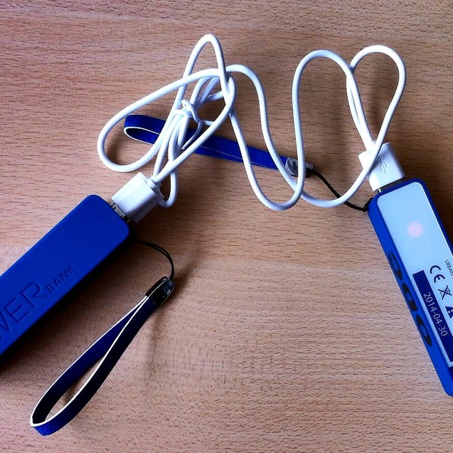 10000mAh Basic Power Bank at SHIVAM ELECTRONICS online store